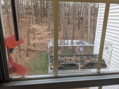 Bird feeder showing webcam pointed at it